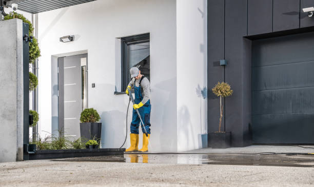 Best Soft Washing  in Alpine, NJ